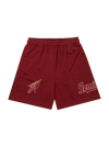 FSU SHORTS